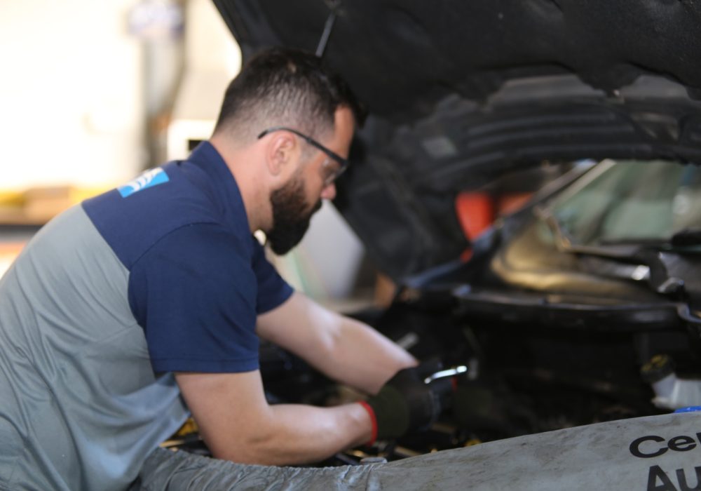 WhatsApp Image 2025-09-02 at 11.19.07